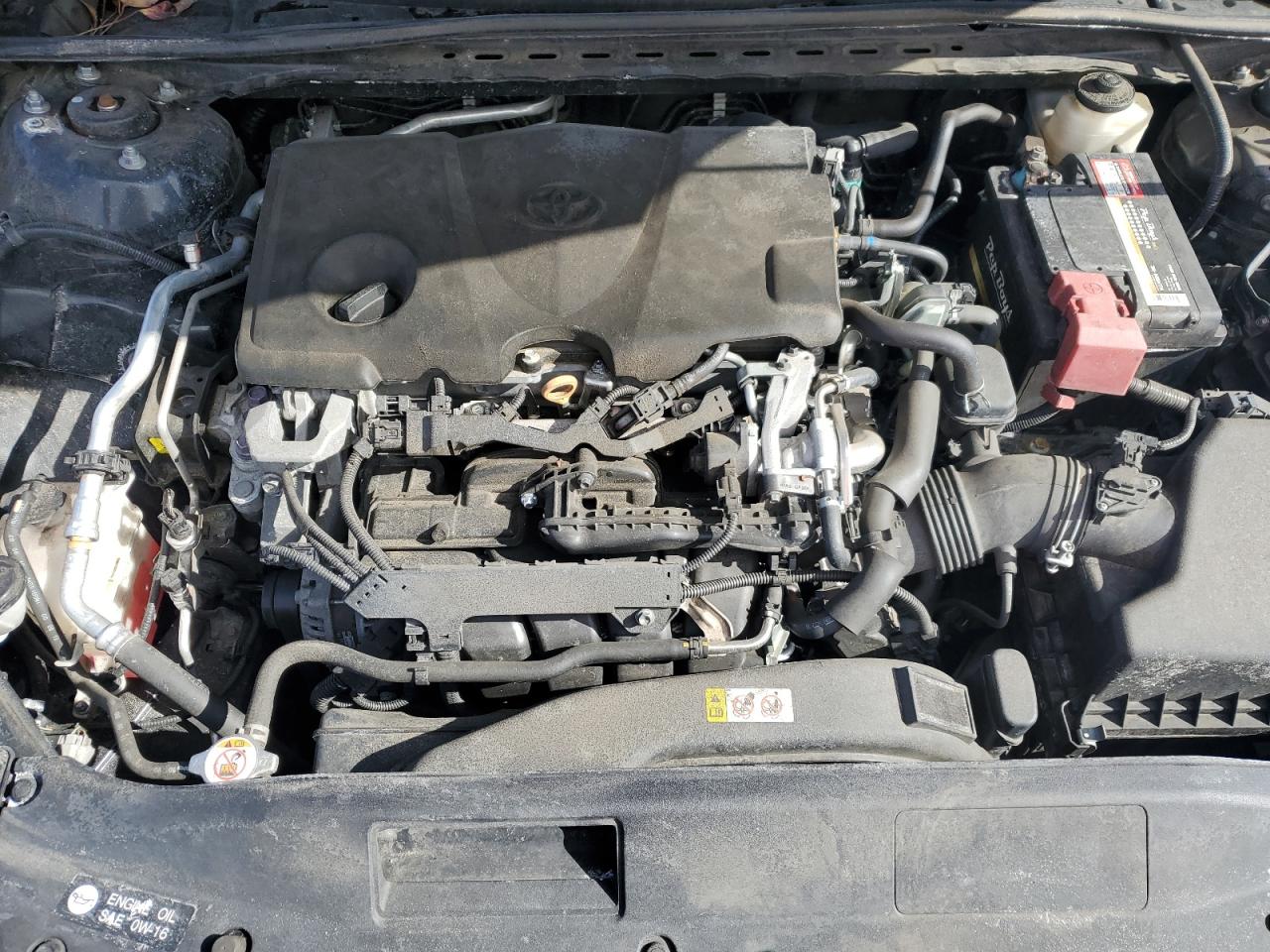 2020 Toyota Camry VIN 4T1C11AK8LU916935 Copart auction photo, side damage thumbnail 11