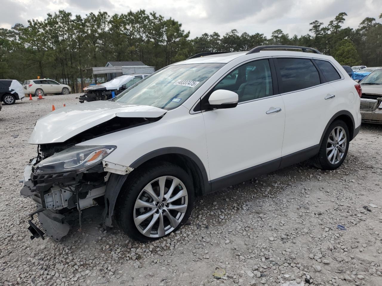 2014 Mazda CX-9 VIN JM3TB2DAXE0431434