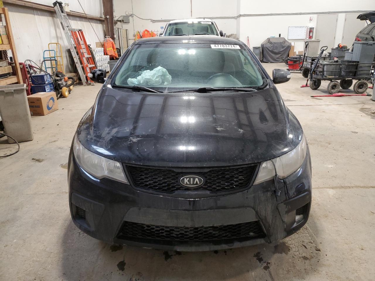 2010 KIA Forte VIN KNAFU6A21A5250351 Copart auction photo, front end / side damage thumbnail 5