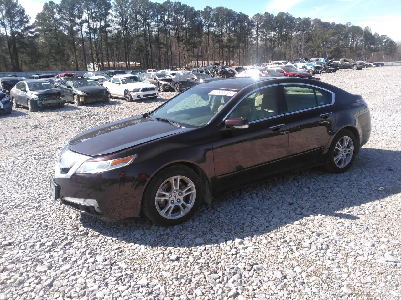 2009 Acura TL VIN 19UUA86539A017819