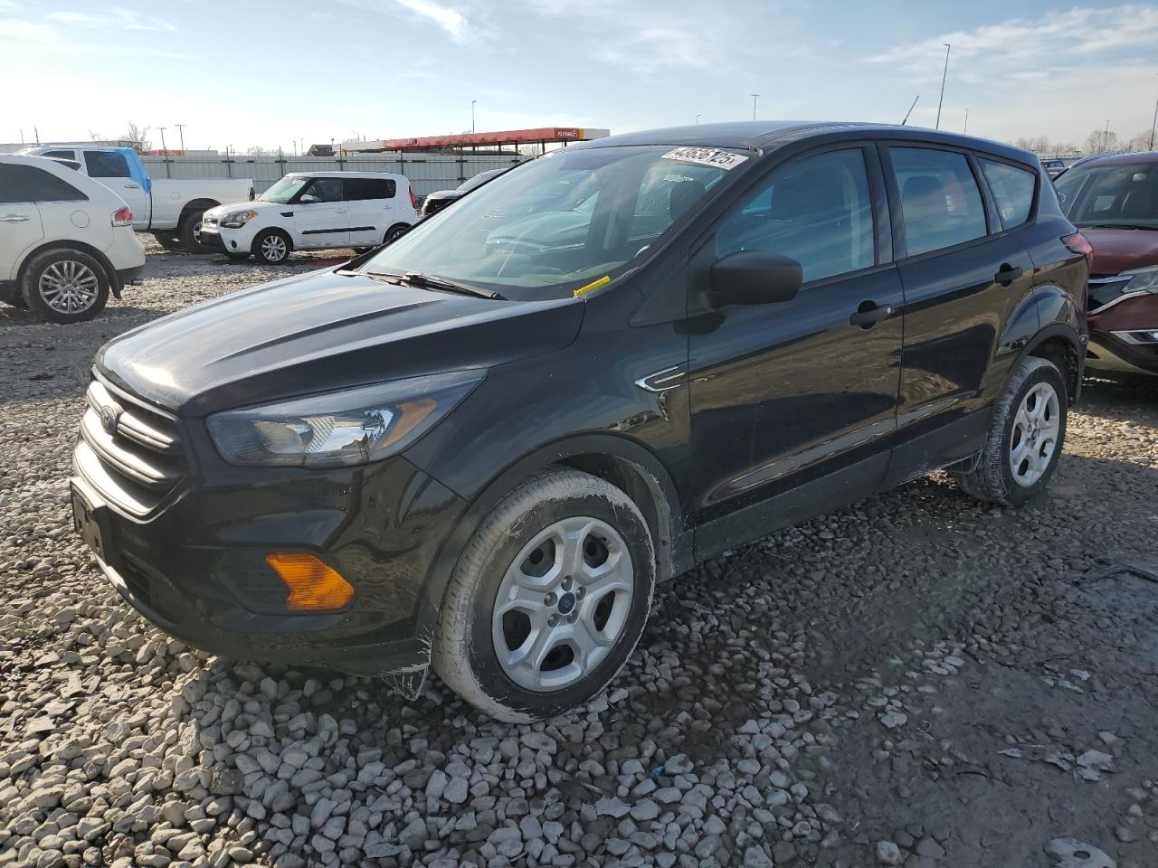 2019 Ford Escape VIN 1FMCU0F73KUA02998