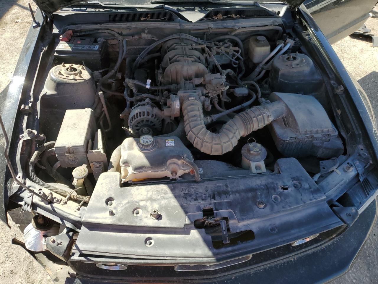 2007 Ford Mustang VIN 1ZVFT80N875283267 Copart auction photo, front end damage thumbnail 11