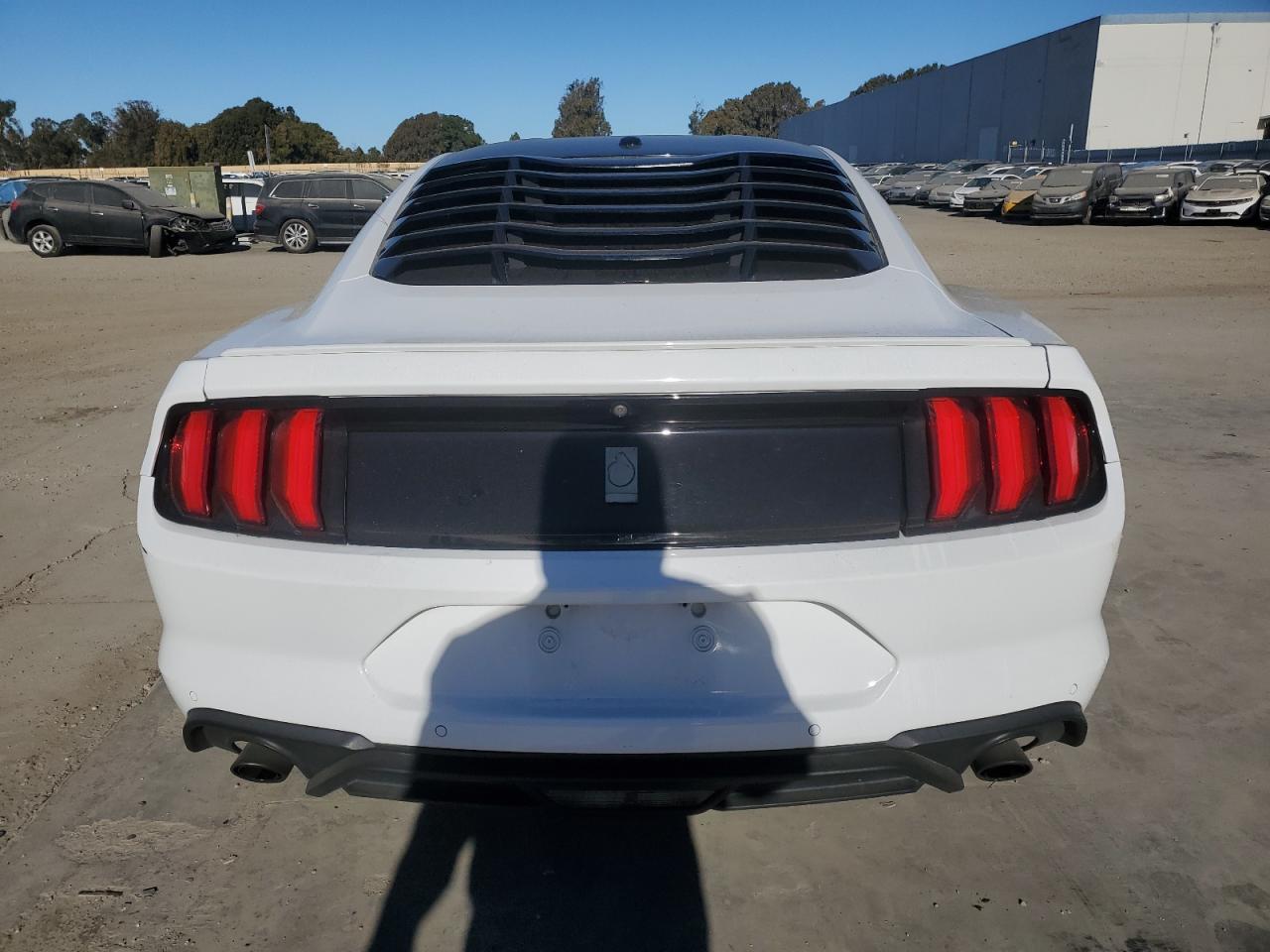 2019 Ford Mustang VIN 1FA6P8TH7K5202724 Copart auction photo, rear end / side damage thumbnail 6