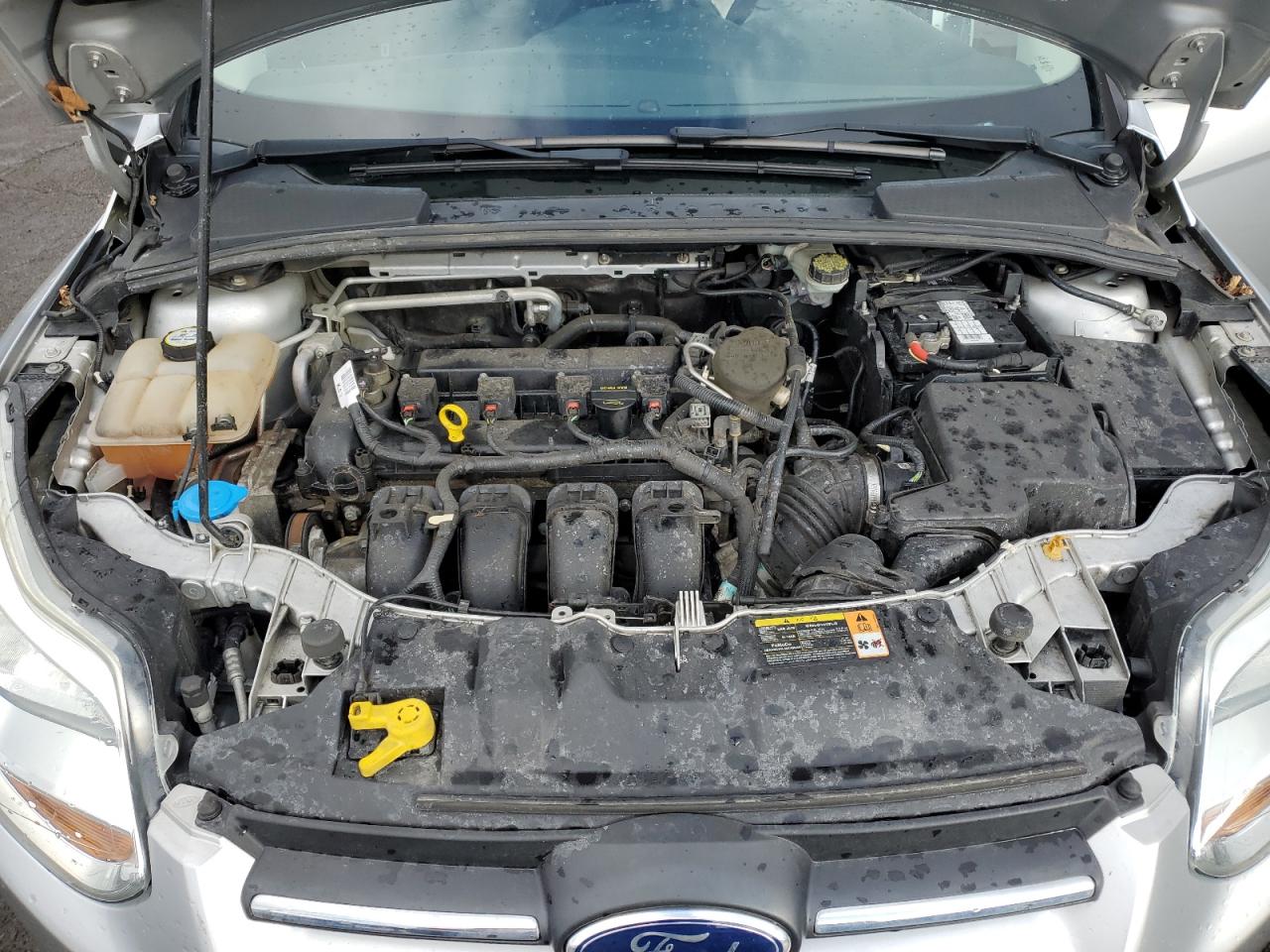 2013 Ford Focus VIN 1FADP3F21DL255113 Copart auction photo, rear end damage thumbnail 12