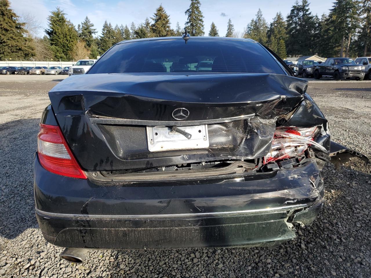 2008 Mercedes-Benz C-klasse VIN WDDGF81X08F174480 Copart auction photo, rear end / side damage thumbnail 6