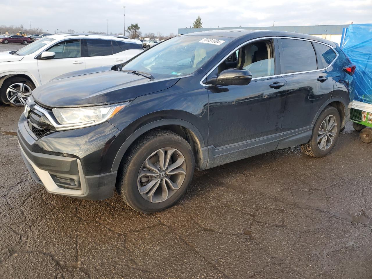 2022 Honda CR-V VIN 5J6RW2H53NL004822