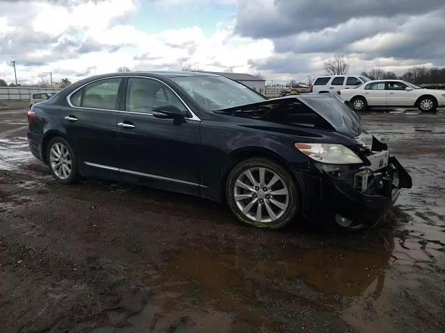 2011 Lexus LS VIN JTHCL5EFXB5010117 Copart auction photo, front end damage thumbnail 10