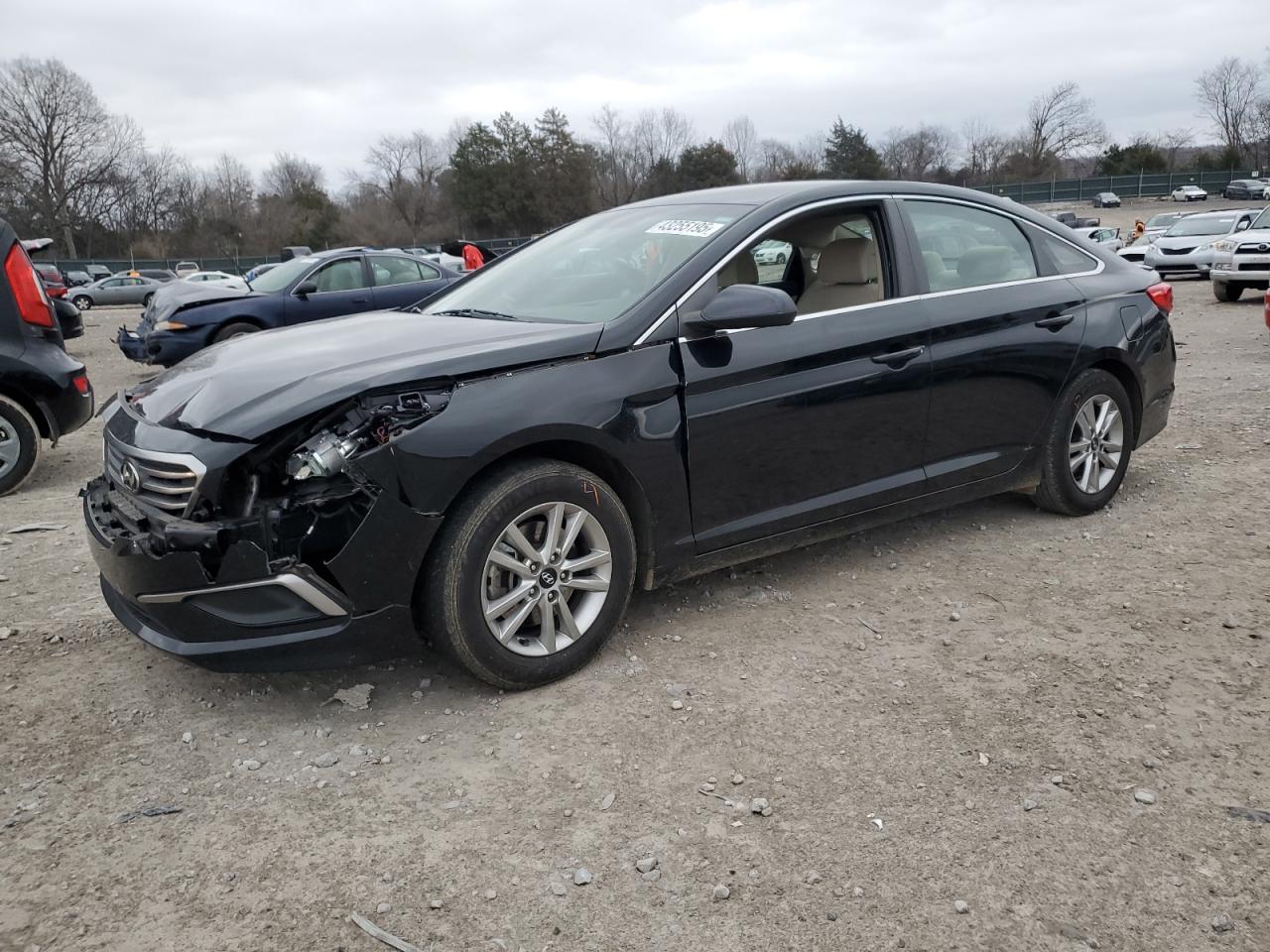 2017 Hyundai Sonata VIN 5NPE24AF9HH536924