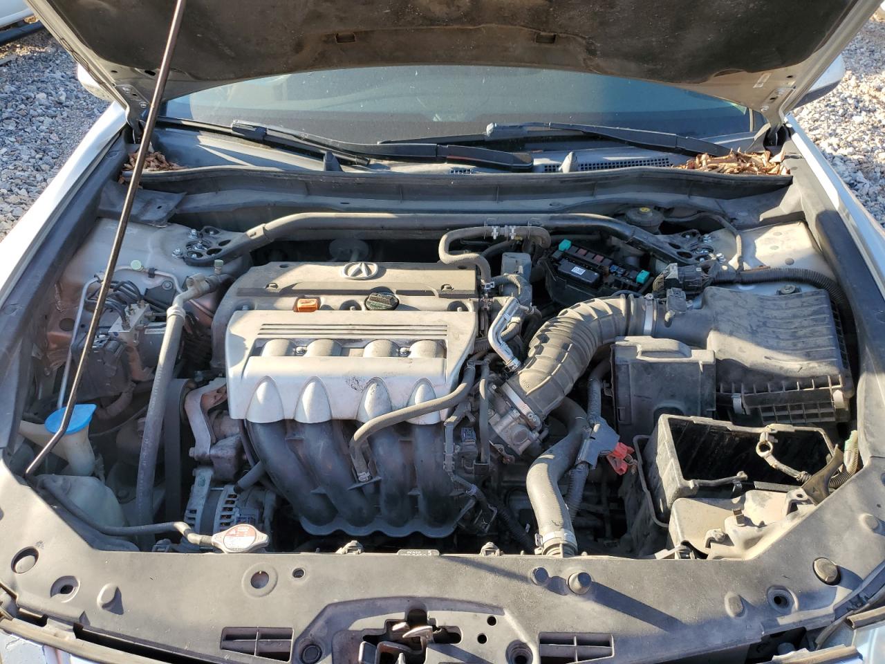 2009 Acura TSX VIN JH4CU26699C011209 Copart auction photo, side / mechanical damage thumbnail 13