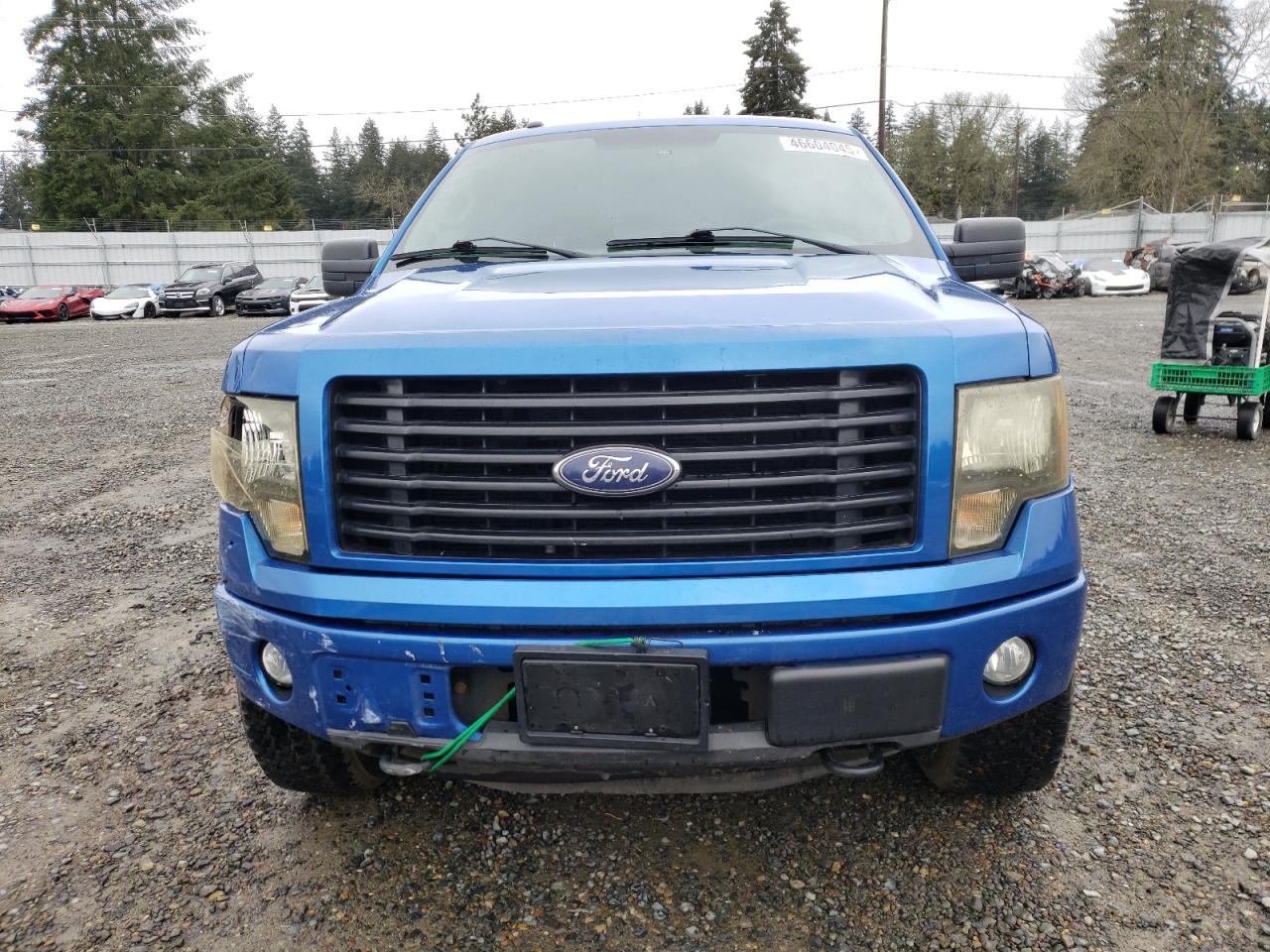 2014 Ford F-150 VIN 1FTFW1EF4EFA94139 Copart auction photo, side damage thumbnail 5