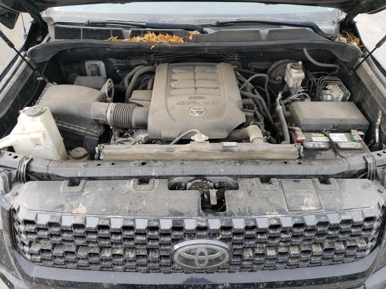 2019 Toyota Tundra VIN 5TFAY5F11KX802576 Copart auction photo, side / rear end damage thumbnail 11