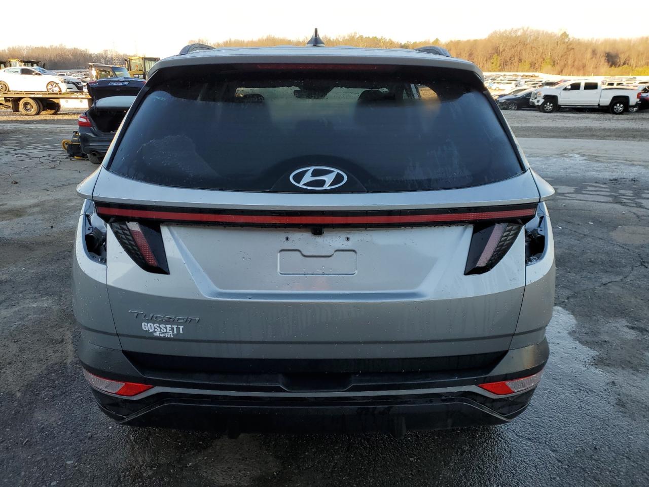 2023 Hyundai Tucson VIN 5NMJB3AE2PH200303 Copart auction photo, side / all over damage thumbnail 6