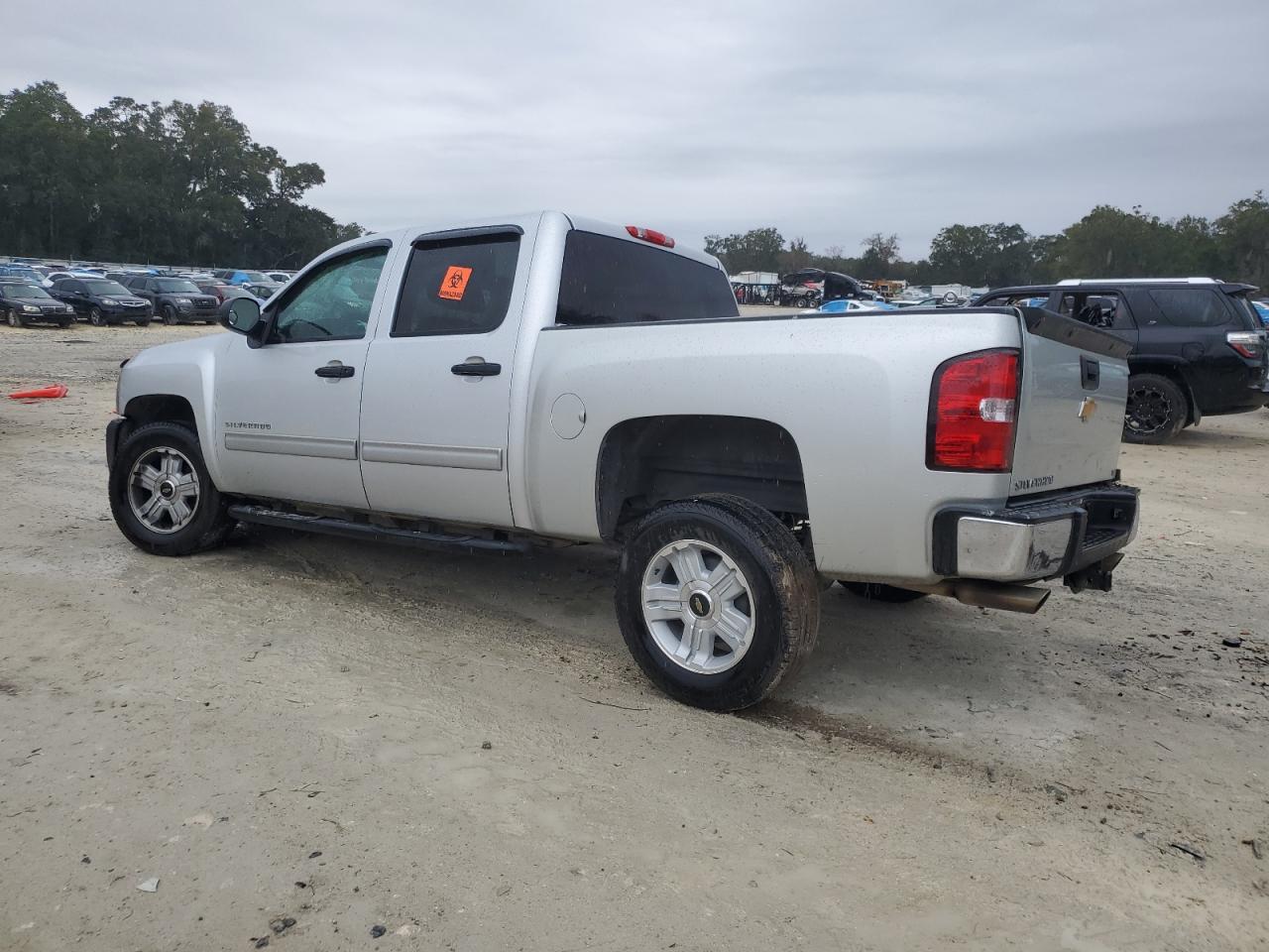 2013 Chevrolet Silverado VIN 3GCPCSE02DG149165 Copart auction photo, all over damage thumbnail 2