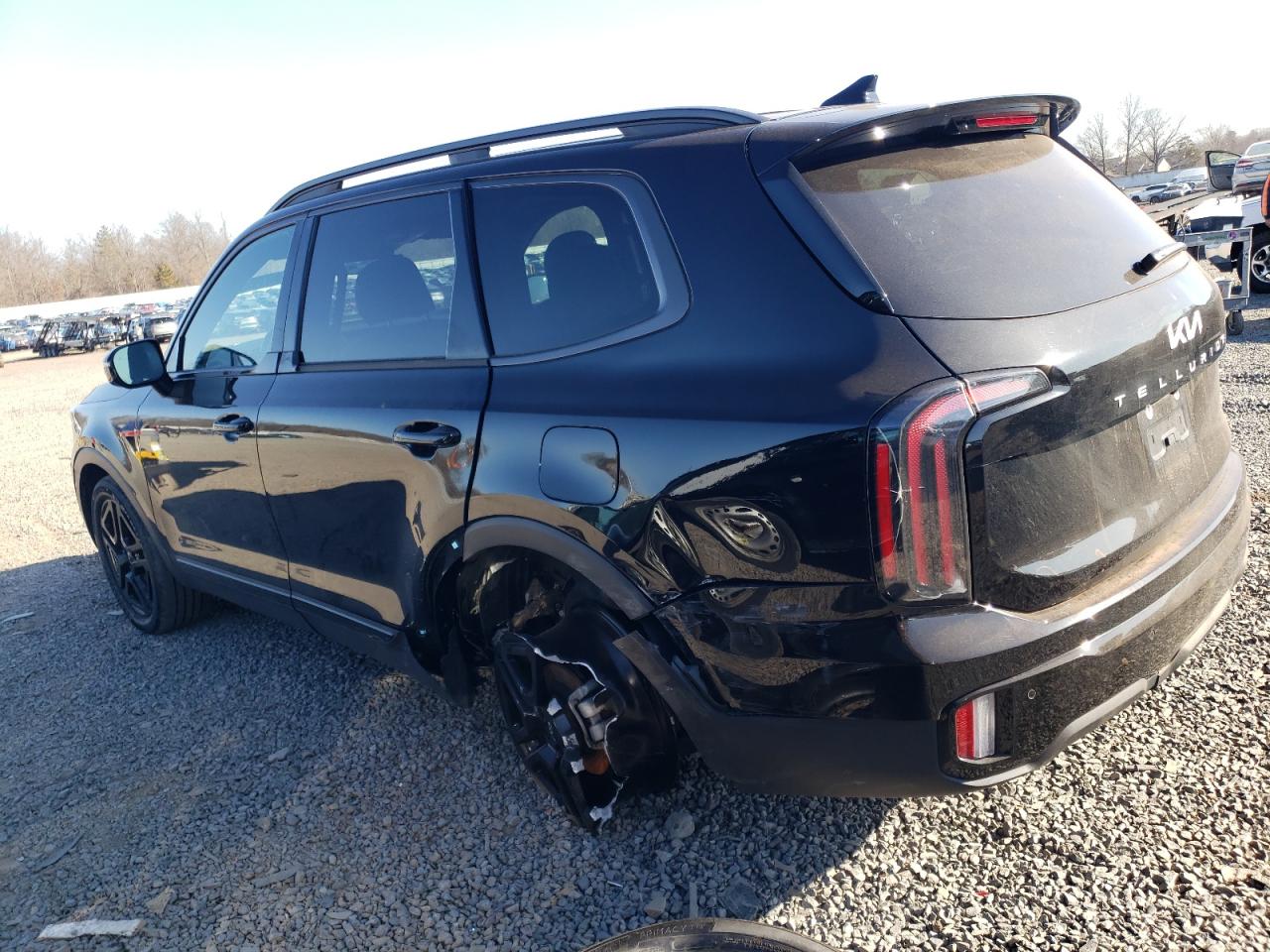 2024 KIA Telluride VIN 5XYP5DGC9RG441771 Copart auction photo, rear end damage thumbnail 2