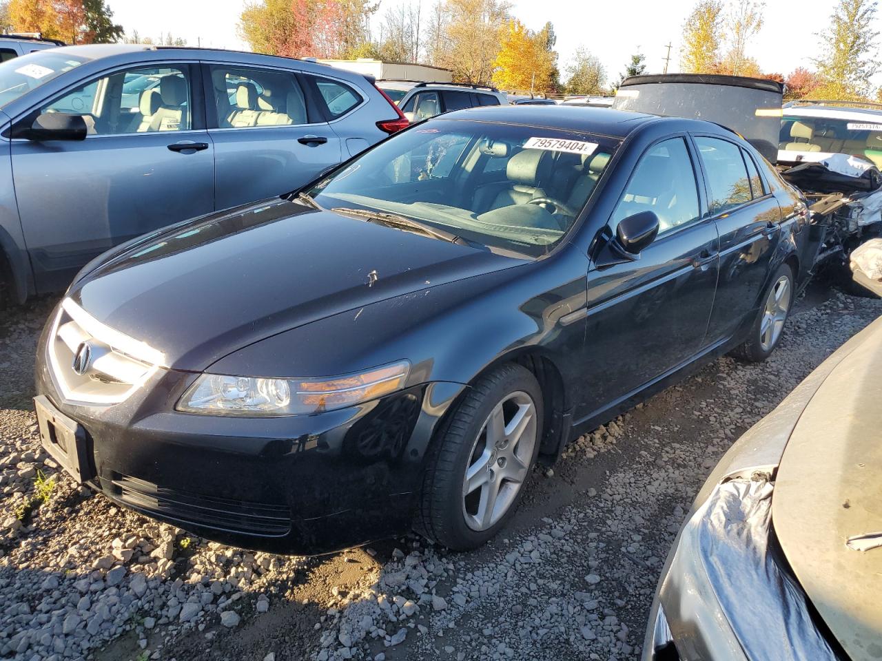 2004 Acura TL VIN 19UUA66204A029736