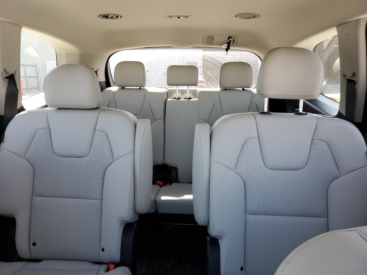 2024 KIA Telluride VIN 5XYP64GC9RG532519 Copart auction photo, top/roof / side damage thumbnail 10