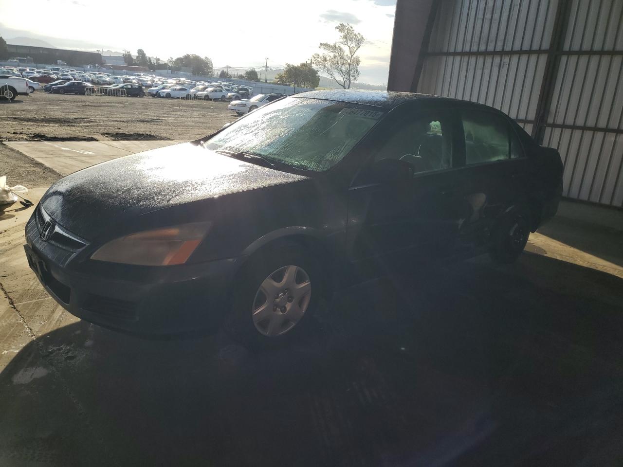 2007 Honda Accord VIN 1HGCM56487A203720