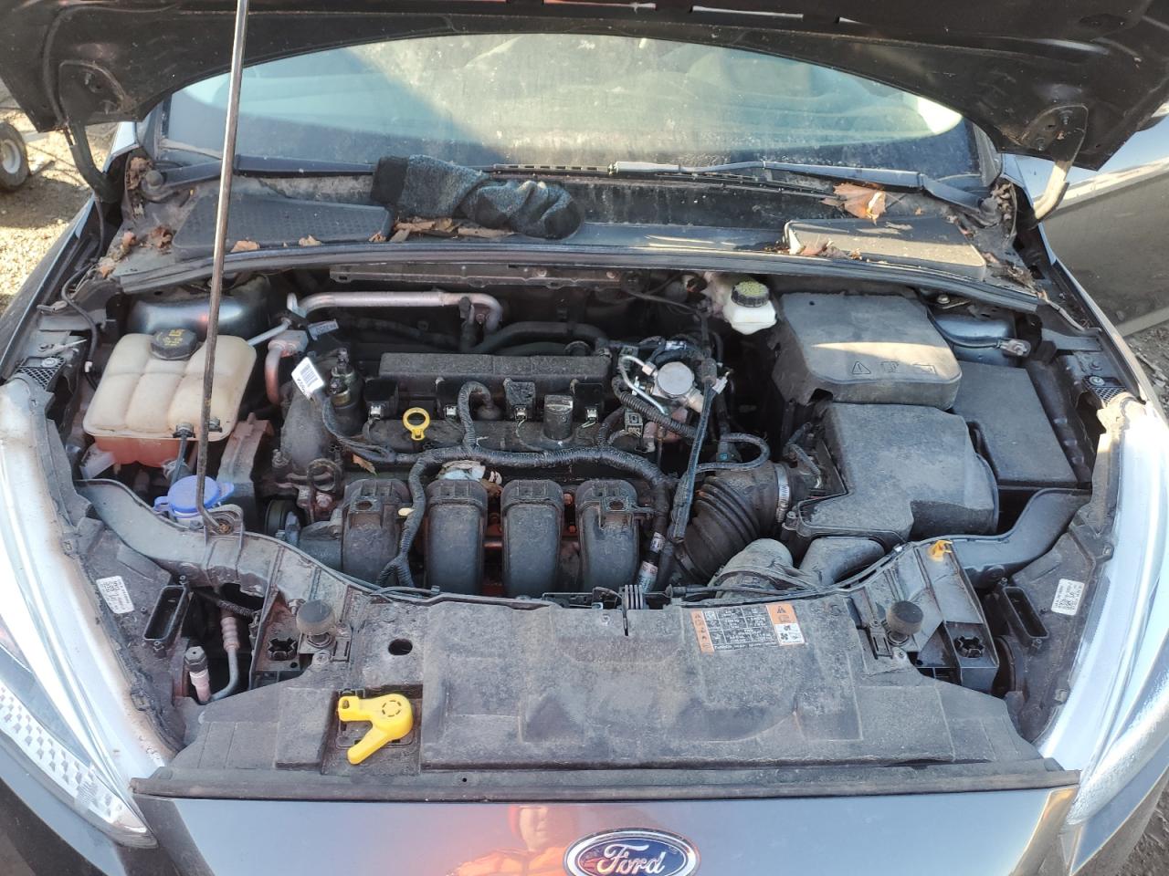 2017 Ford Focus VIN 1FADP3F25HL215798 Copart auction photo, rear end / minor dent/scratches damage thumbnail 11