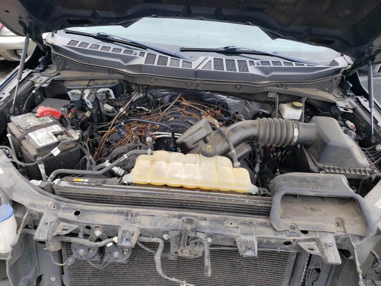 2021 Ford F-150 VIN 1FTFW1E52MFA28467 Copart auction photo, front end damage thumbnail 11