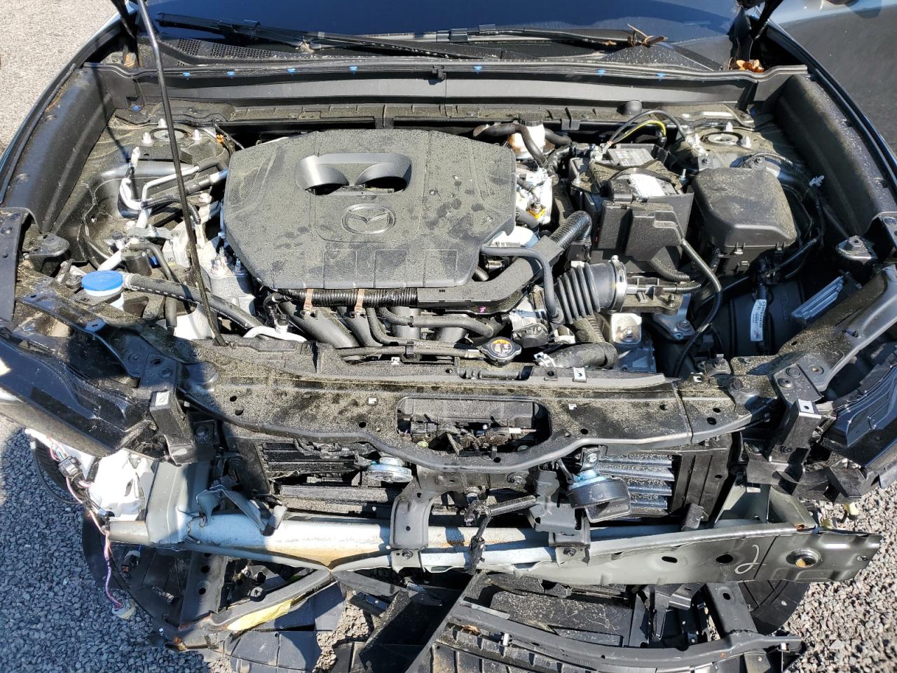 2024 Mazda CX-30 VIN 3MVDMBBM2RM635053 Copart auction photo, front end / minor dent/scratches damage thumbnail 11