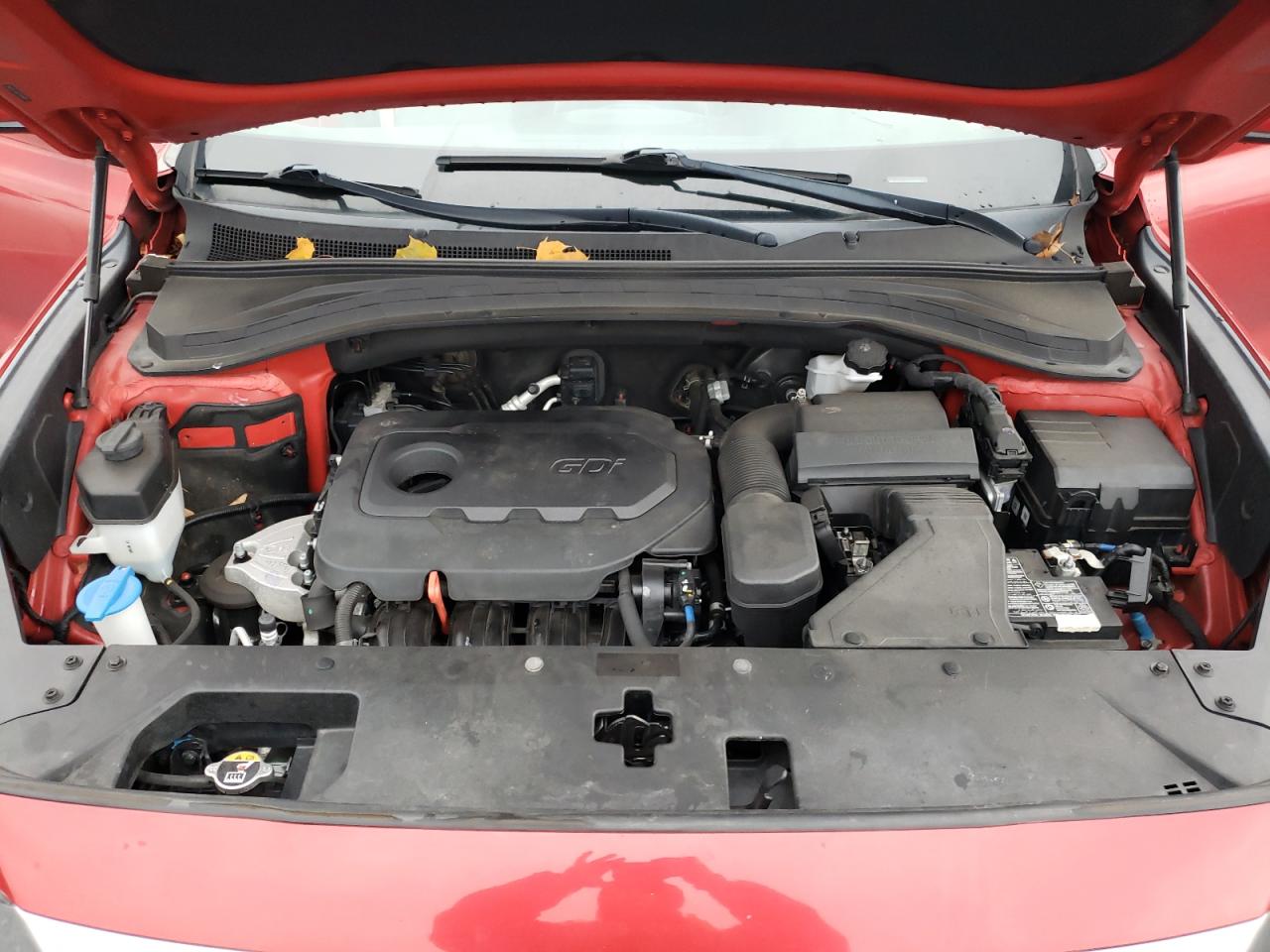 2020 Hyundai Santa Fe VIN 5NMS3CAD2LH166009 Copart auction photo, rear end damage thumbnail 12