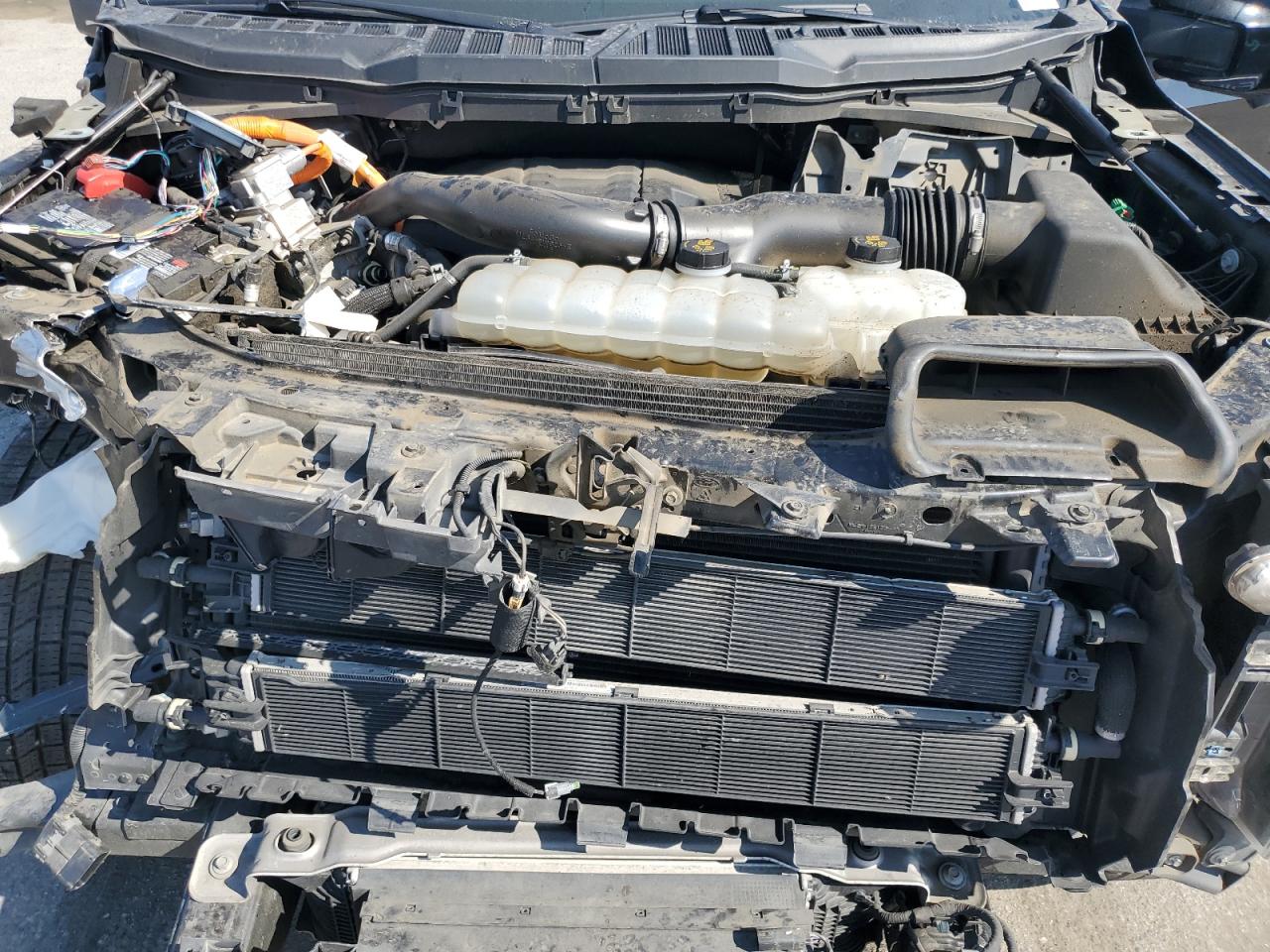 2021 Ford F-150 VIN 1FTFW1ED7MFA84217 Copart auction photo, front end / minor dent/scratches damage thumbnail 11