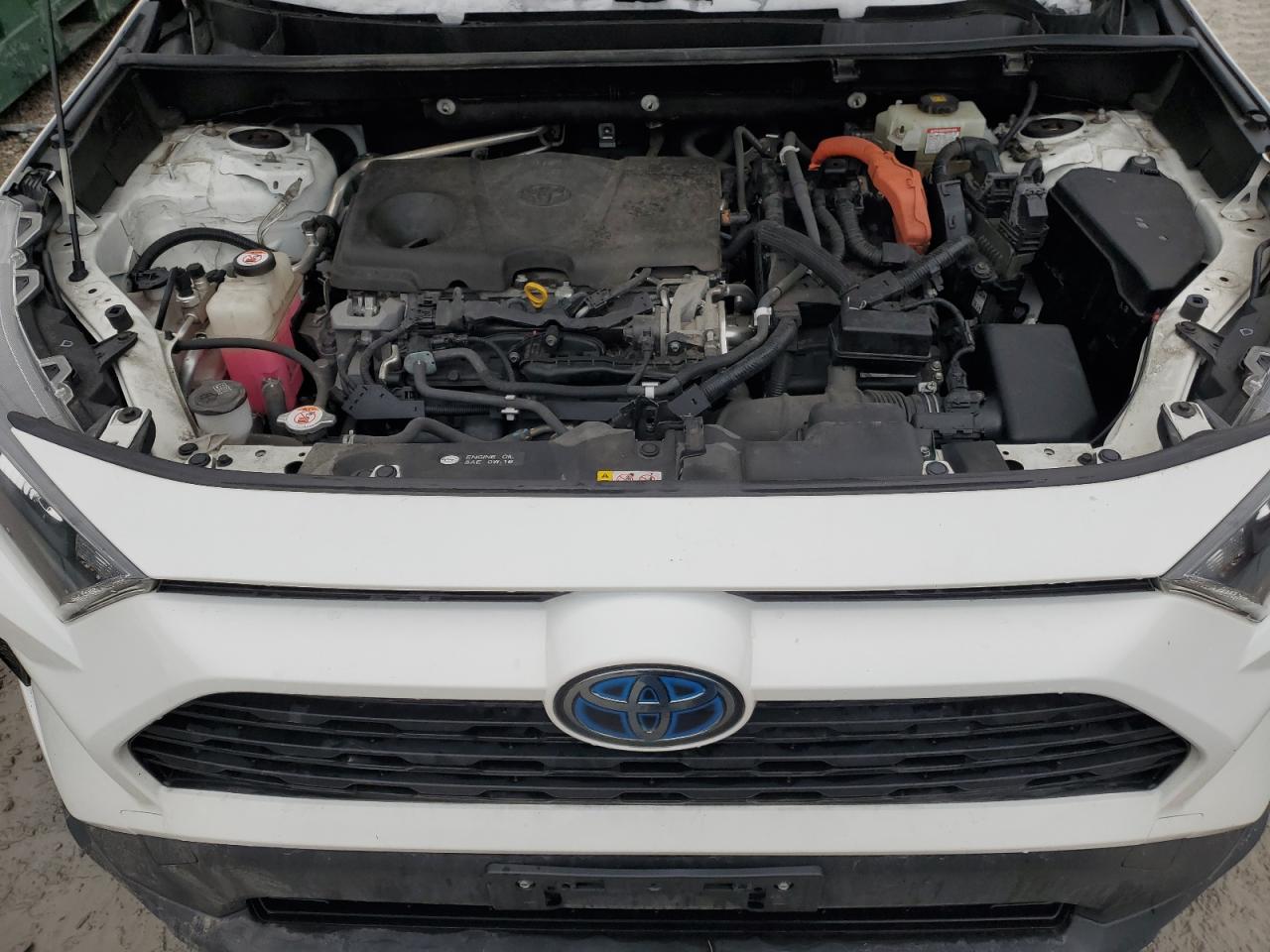 2019 Toyota RAV 4 VIN JTMMWRFVXKD030836 Copart auction photo, side / front end damage thumbnail 12