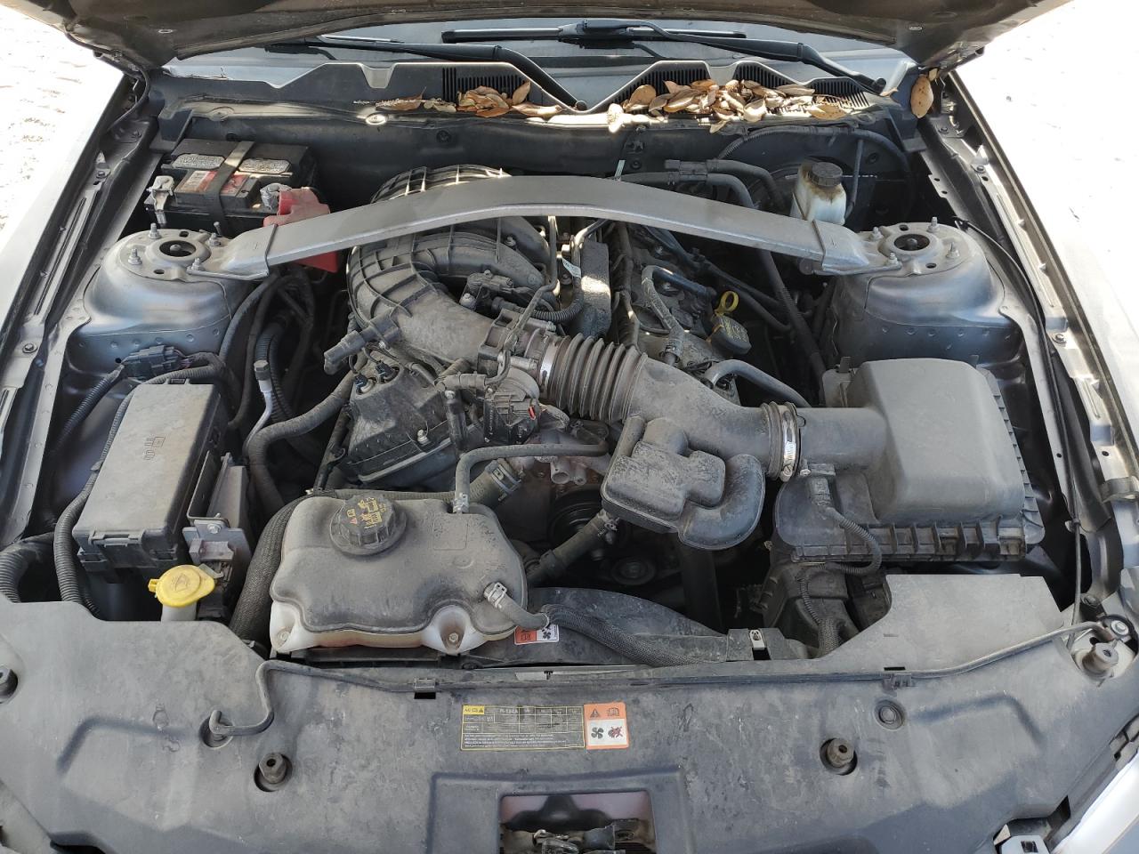2011 Ford Mustang VIN 1ZVBP8EM6B5137140 Copart auction photo, front end / side damage thumbnail 11