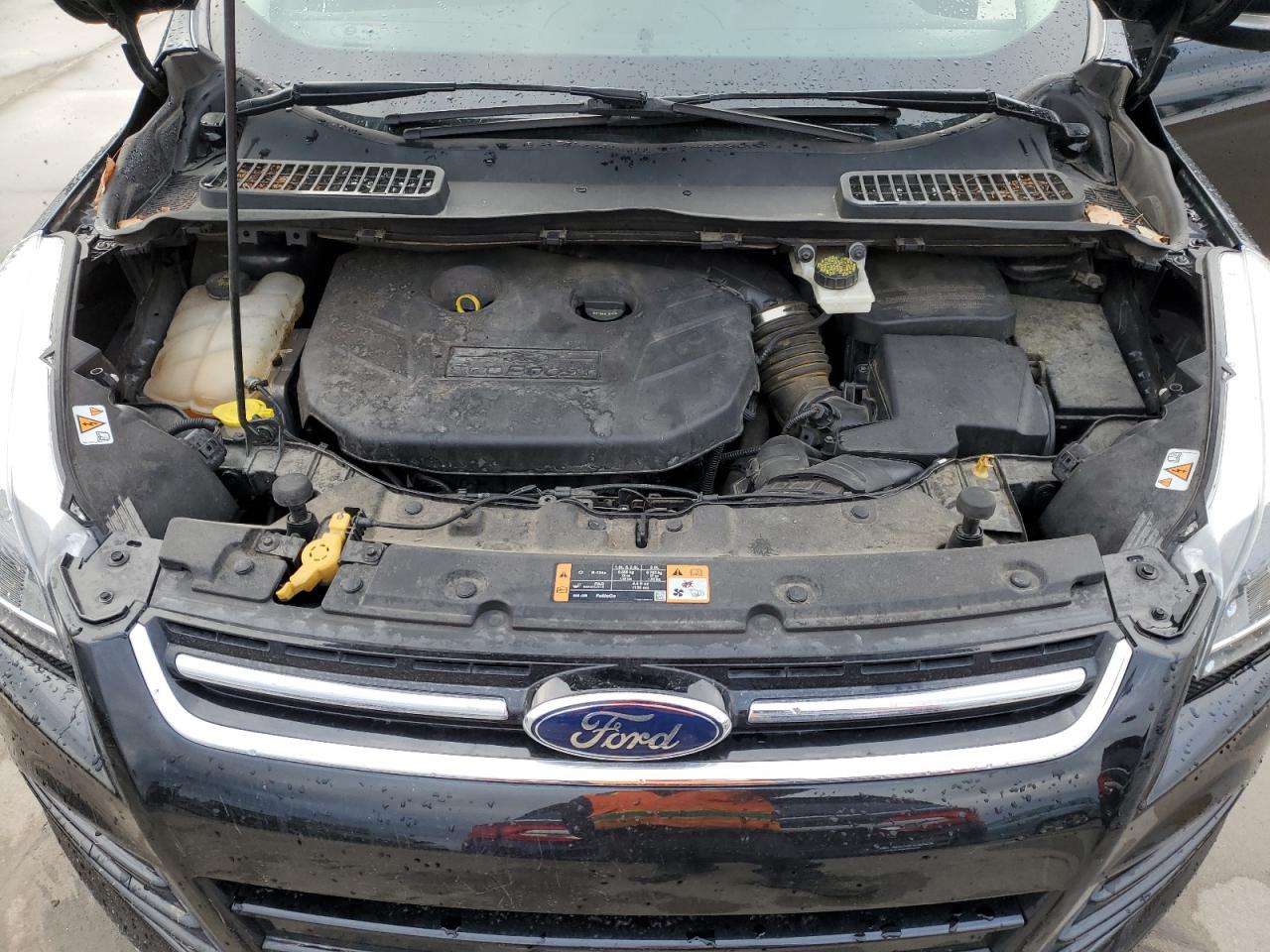 2014 Ford Escape VIN 1FMCU0J91EUB71480 Copart auction photo, rear end / hail damage thumbnail 12