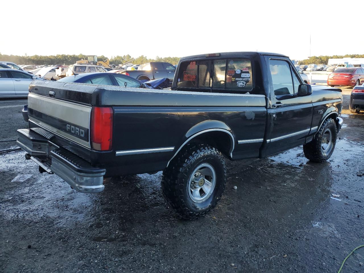 1995 Ford F-150 VIN 1FTEF15NXSNA84042 Copart auction photo, all over damage thumbnail 3