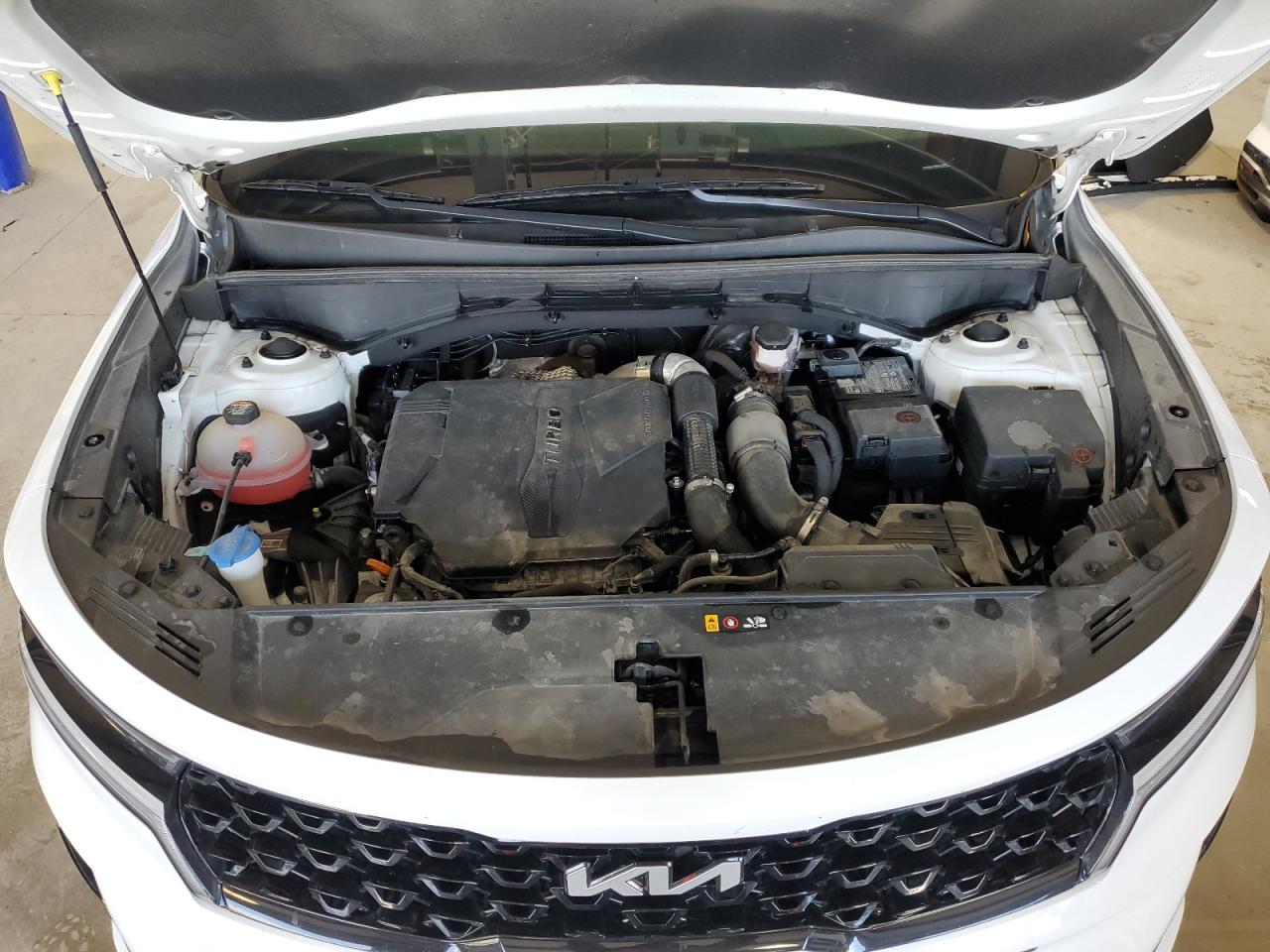 2022 KIA Sorento VIN 5XYRH4LF8NG121545 Copart auction photo, rear end / minor dent/scratches damage thumbnail 12