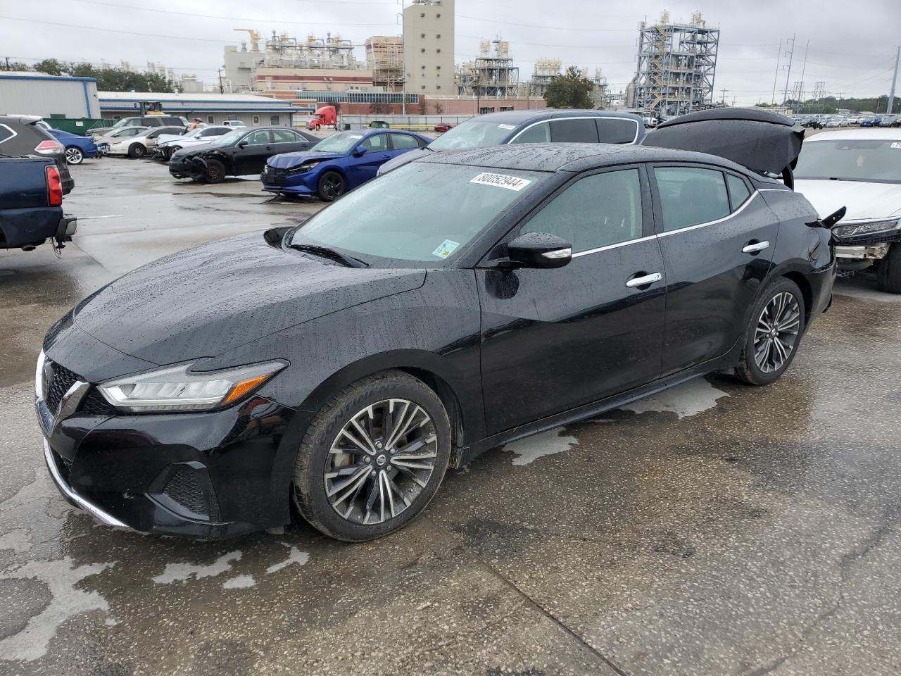 2019 Nissan Maxima VIN 1N4AA6AV5KC360953