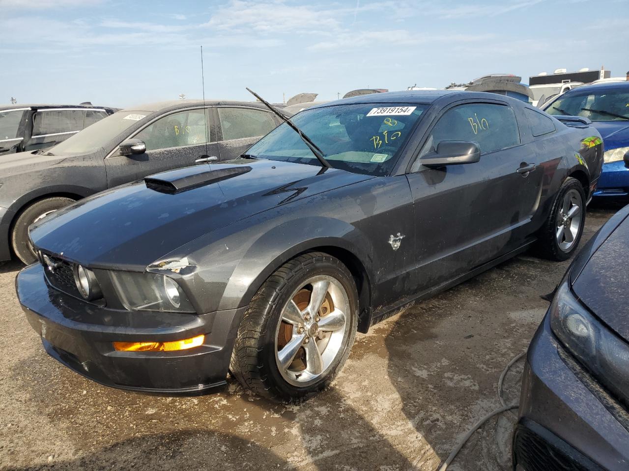 2009 Ford Mustang VIN 1ZVHT82H895139124