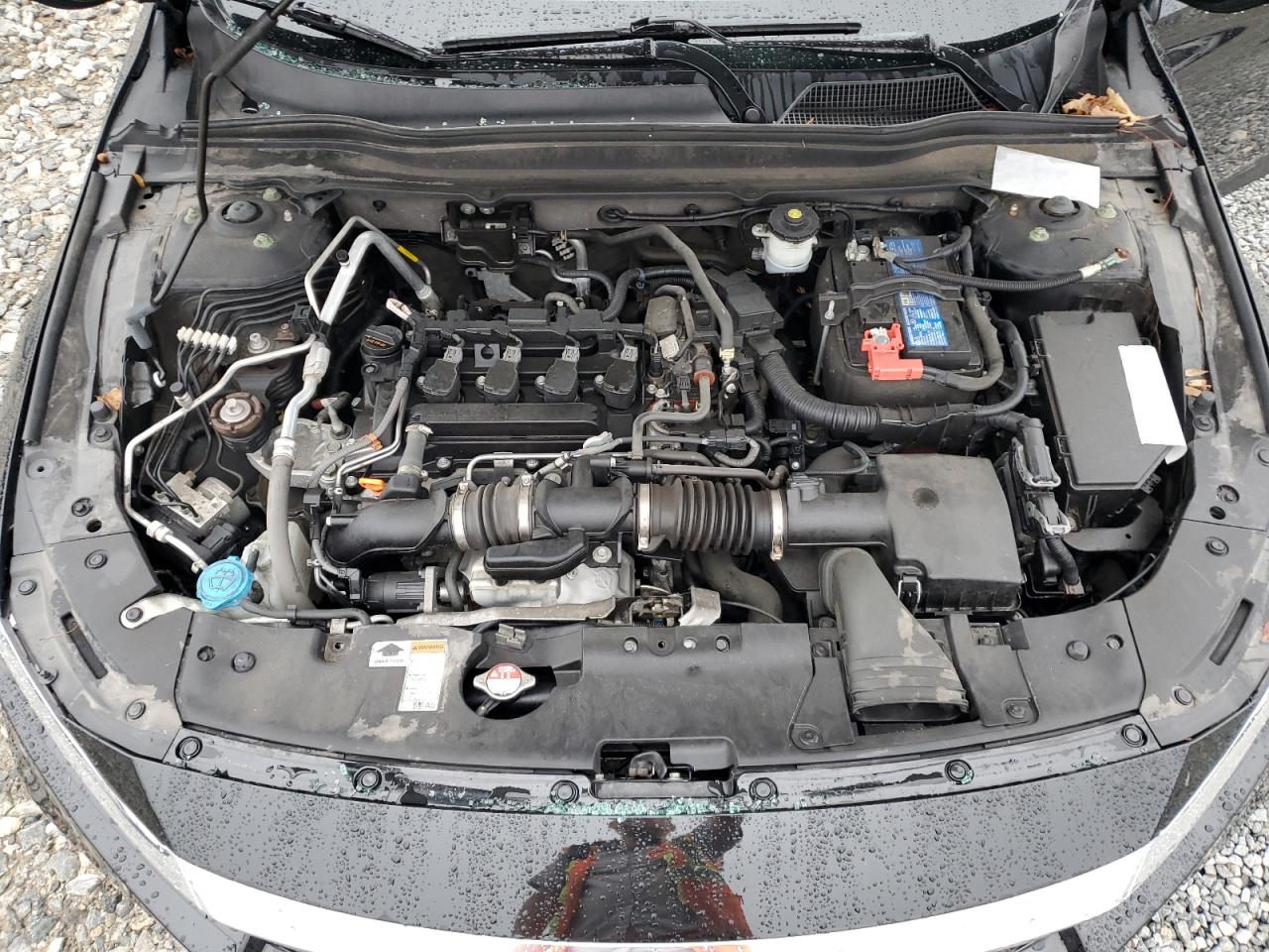2021 Honda Accord VIN 1HGCV1F51MA005491 Copart auction photo, rear end damage thumbnail 13