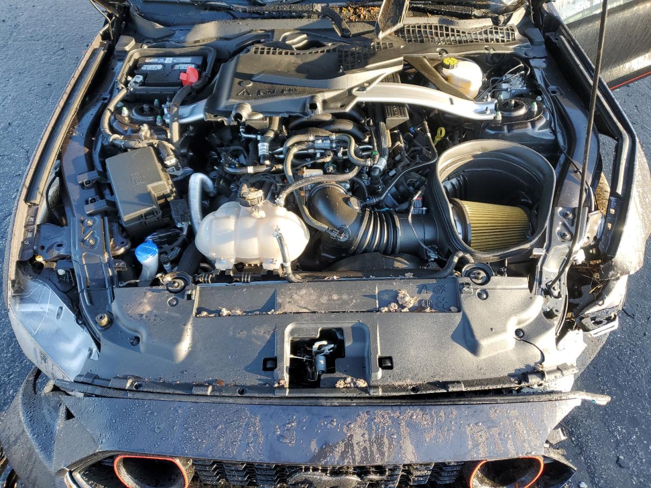 2022 Ford Mustang VIN 1FA6P8R04N5550356 Copart auction photo, all over damage thumbnail 12