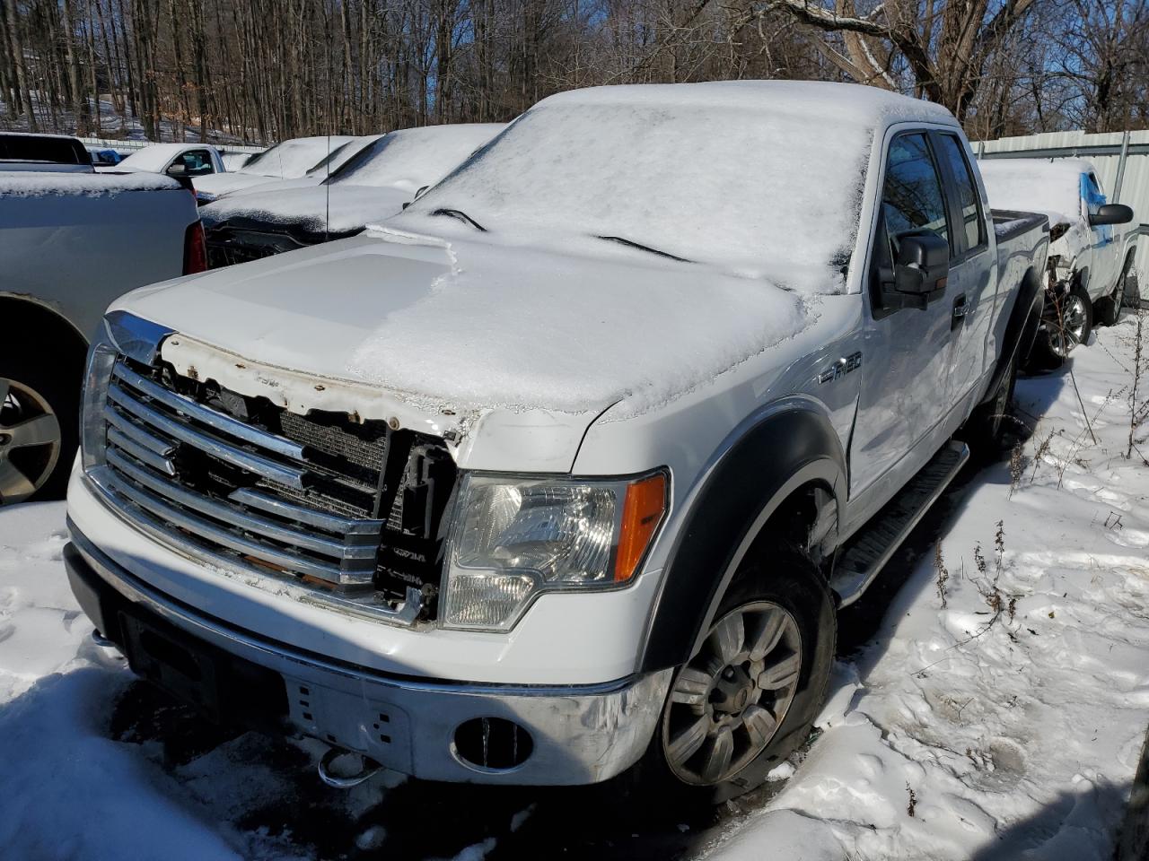 2012 Ford F-150 VIN 1FTFX1EF0CFC66595