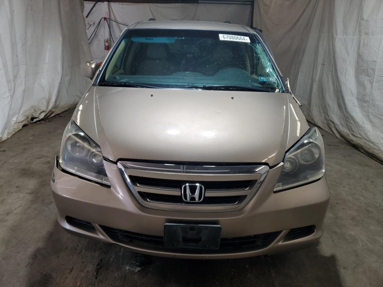 2007 Honda Odyssey VIN 5FNRL38417B080802 Copart auction photo, all over damage thumbnail 5