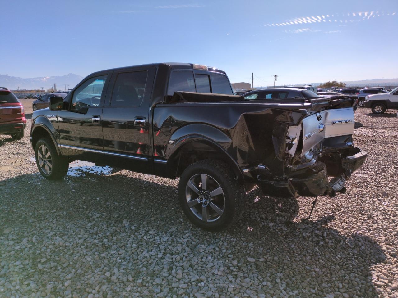 2010 Ford F-150 VIN 1FTFW1EV2AFD55902 Copart auction photo, rear end damage thumbnail 2