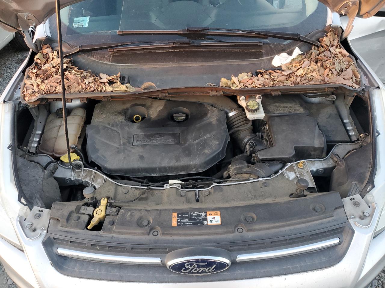 2015 Ford Escape VIN 1FMCU0G94FUA93169 Copart auction photo, side damage thumbnail 11