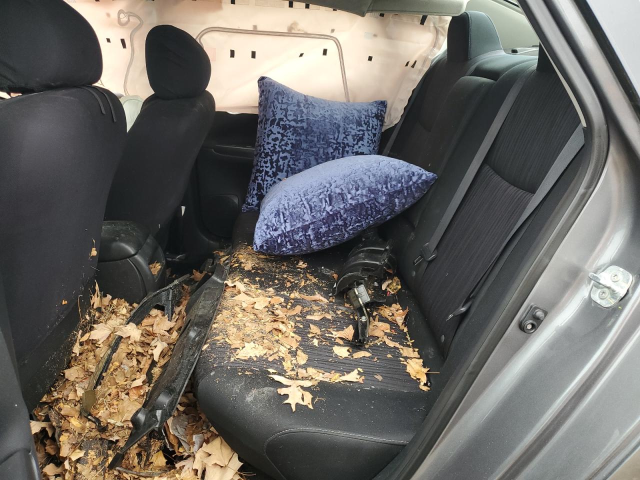 2019 Nissan Sentra VIN 3N1AB7AP8KY392384 Copart auction photo, front end damage thumbnail 11