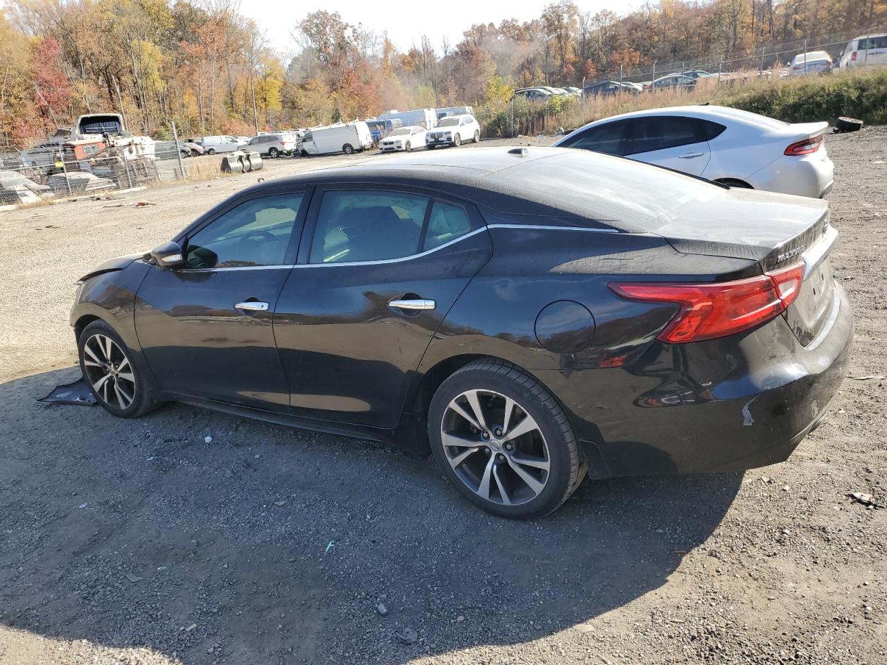 2016 Nissan Maxima VIN 1N4AA6AP9GC437025 Copart auction photo, front end damage thumbnail 2