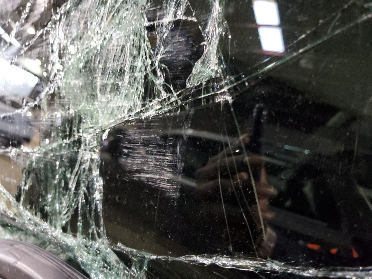 2019 Ford F-150 VIN 1FTEW1CP5KKD23907 Copart auction photo, side damage thumbnail 8