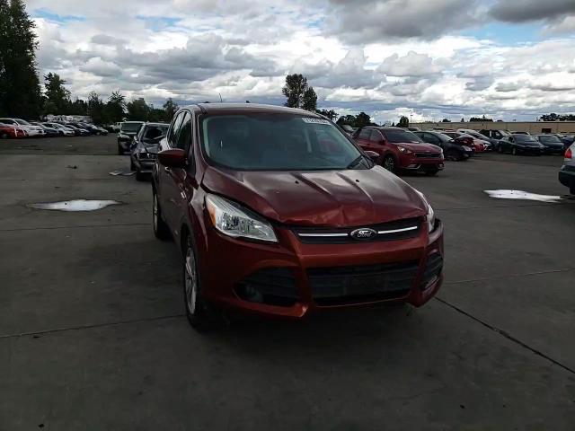 2014 Ford Escape VIN 1FMCU0GX2EUB81778 Copart auction photo, front end damage thumbnail 11
