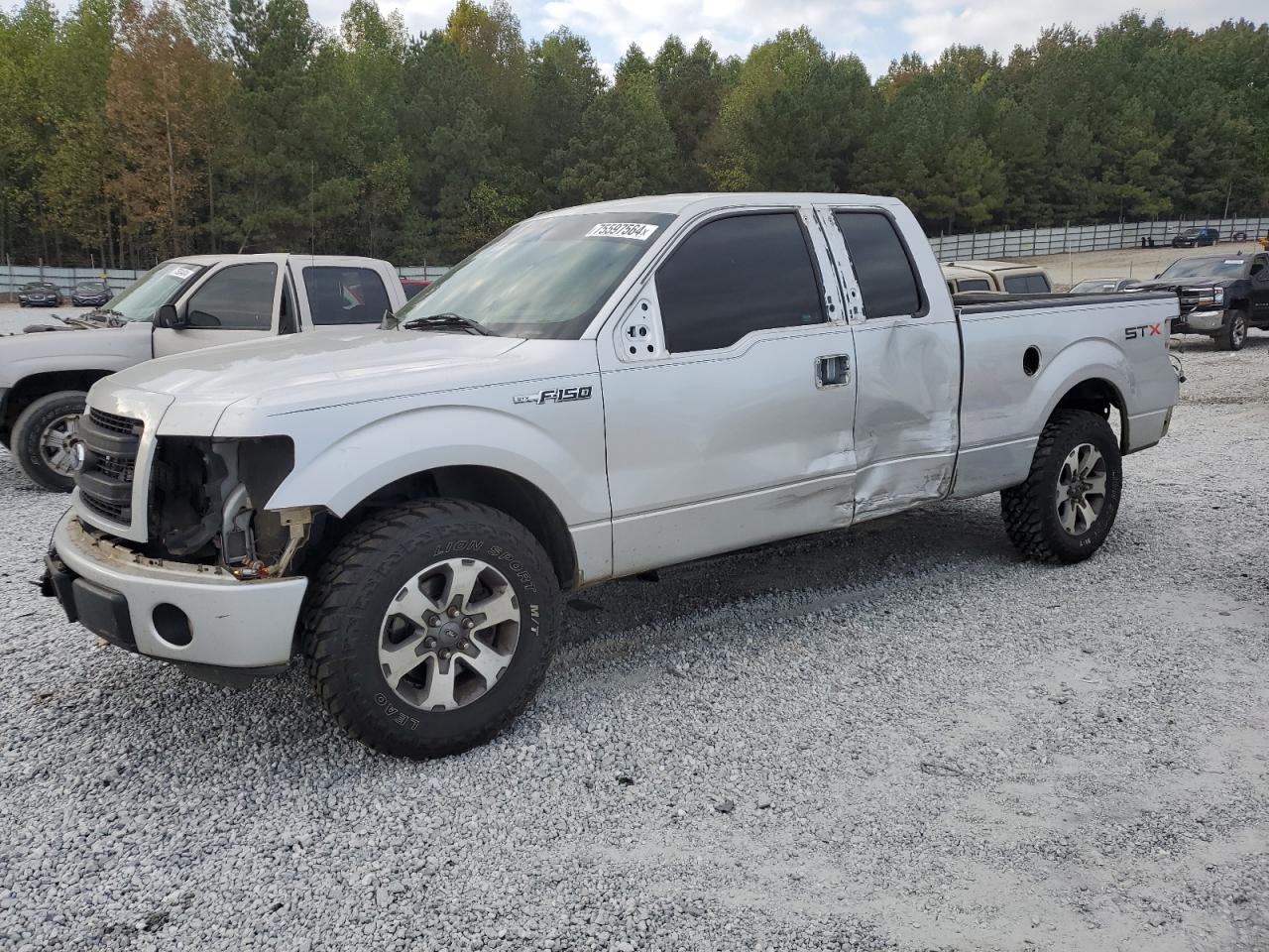 2013 Ford F-150 VIN 1FTEX1CM7DFD30792