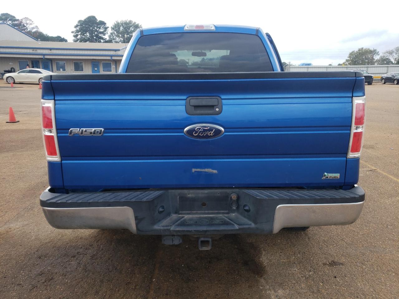 2010 Ford F-150 VIN 1FTFW1EV4AFB37220 Copart auction photo, side / rear end damage thumbnail 6