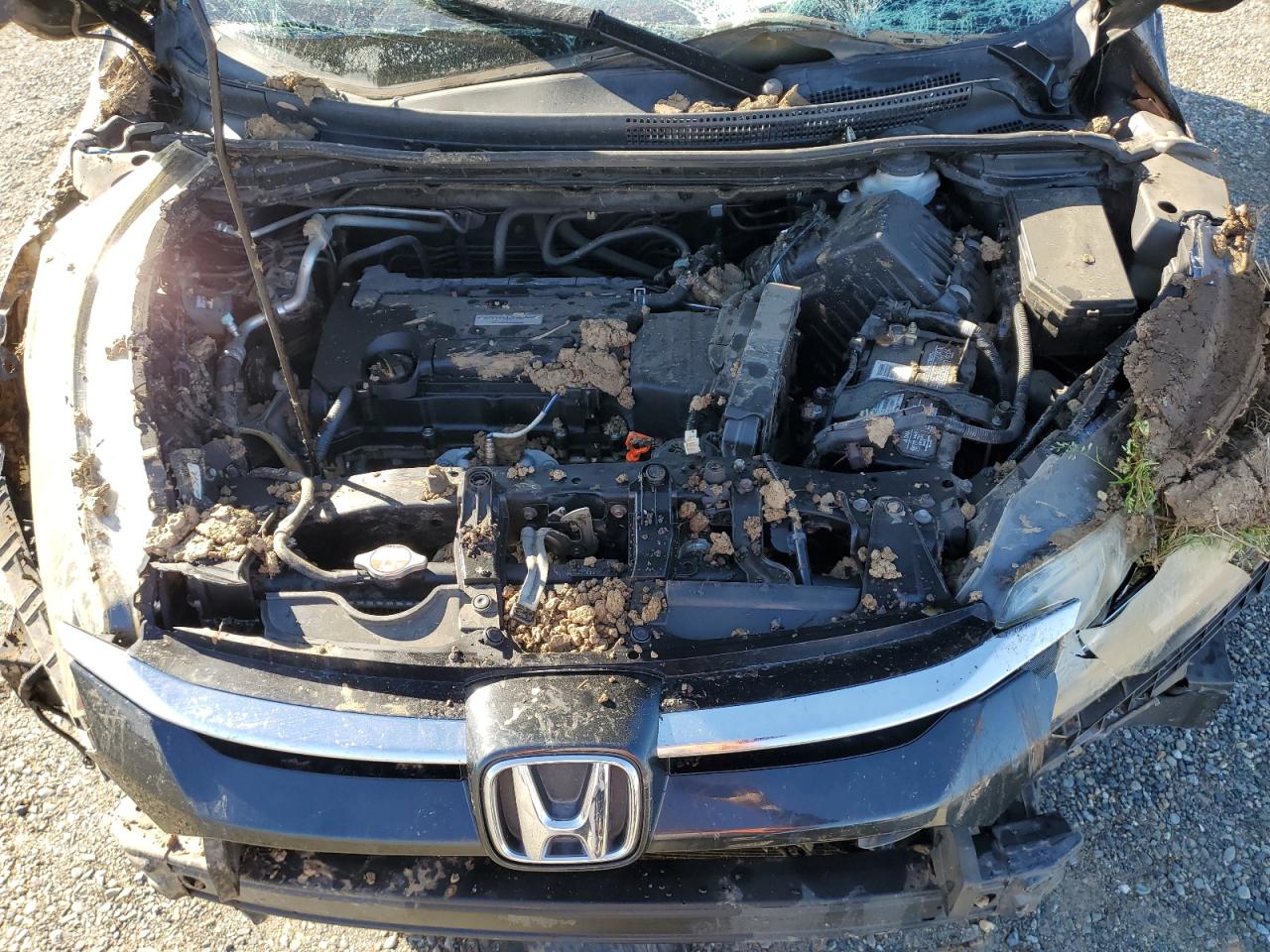2016 Honda CR-V VIN 2HKRM3H44GH555020 Copart auction photo, rollover damage thumbnail 12