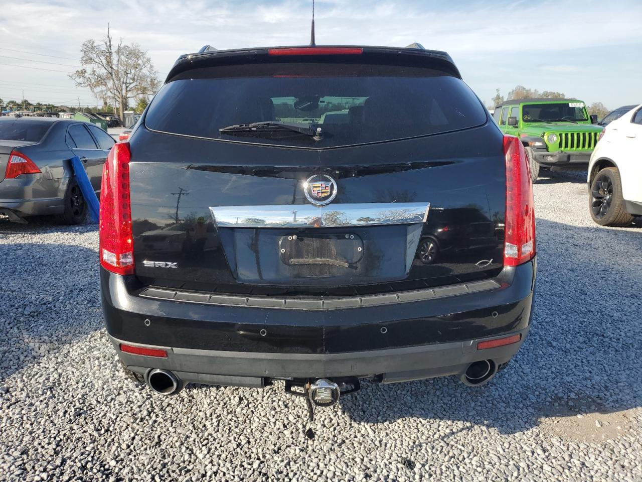 2010 Cadillac SRX VIN 3GYFNAEY6AS641920 Copart auction photo, minor dent/scratches damage thumbnail 6
