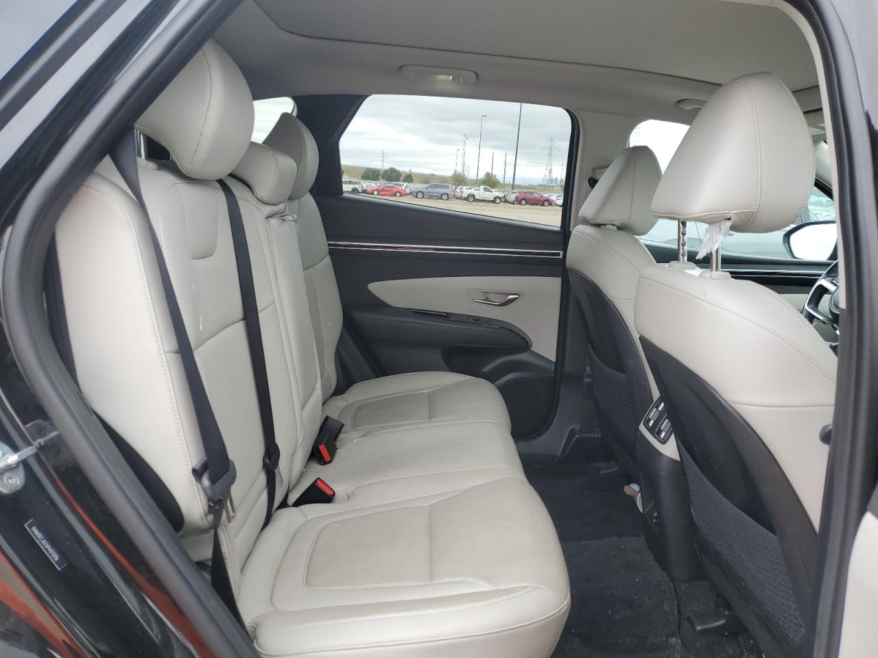 2023 Hyundai Tucson VIN 5NMJECAE5PH173296 Copart auction photo, hail / minor dent/scratches damage thumbnail 10