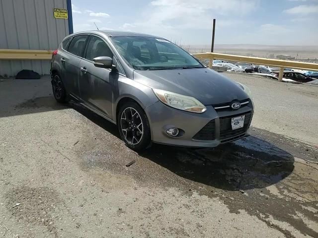 2014 Ford Focus VIN 1FADP3K27EL123755 Copart auction photo, rear end damage thumbnail 14