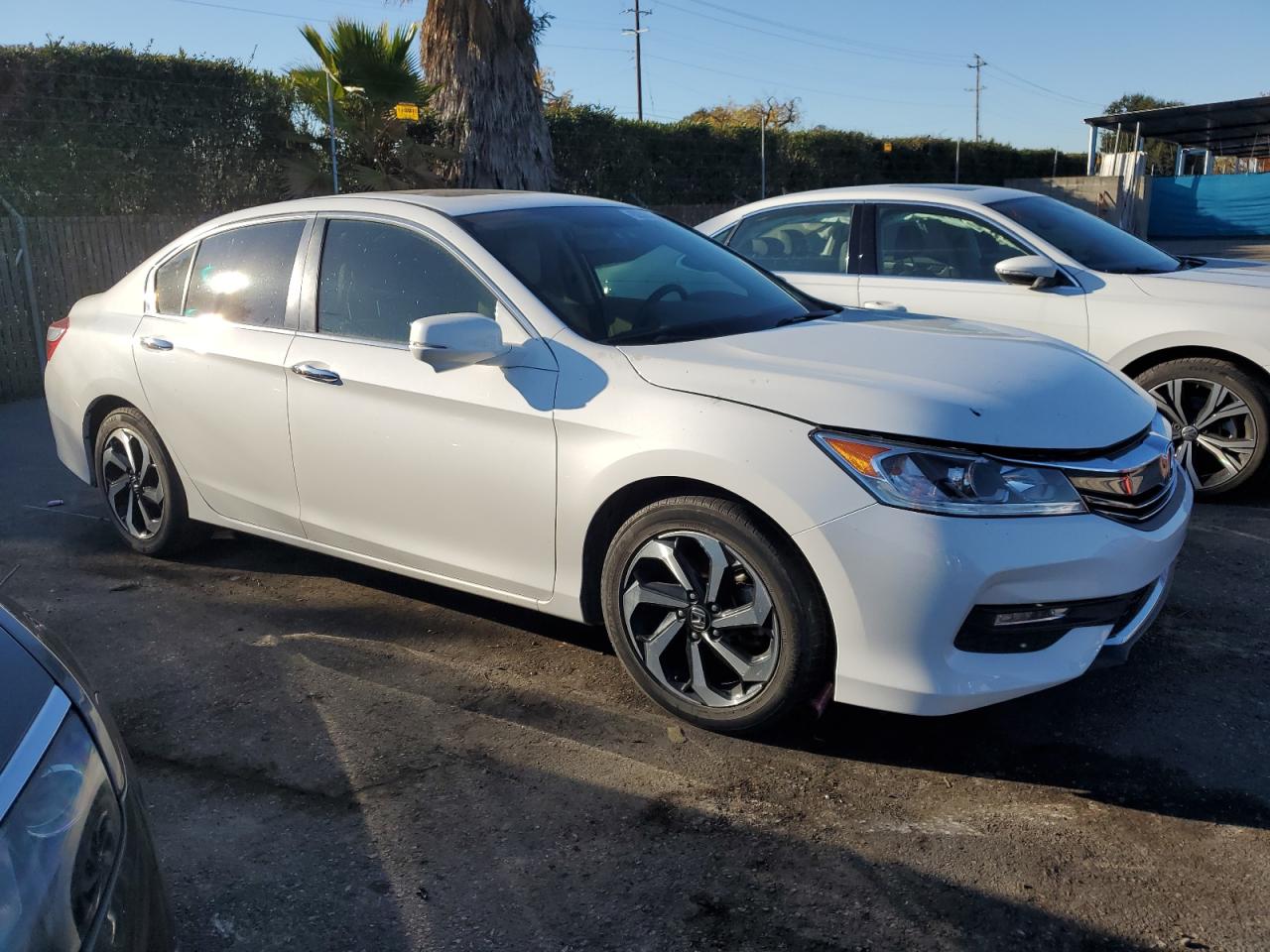 2016 Honda Accord VIN 1HGCR2F75GA025016 Copart auction photo, minor dent/scratches damage thumbnail 4